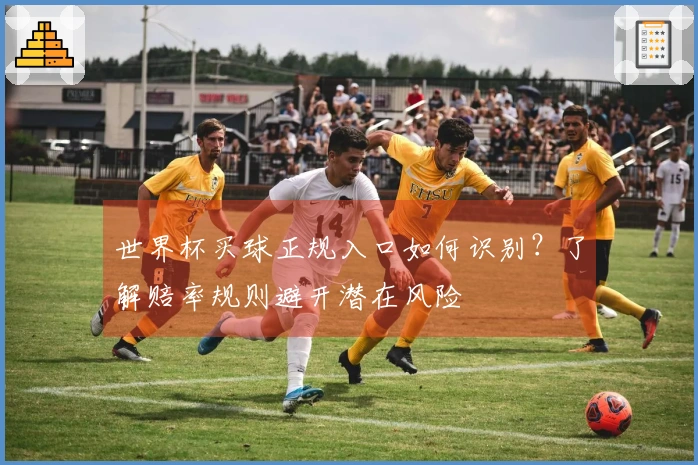 世界杯买球正规入口如何识别？了解赔率规则避开潜在风险